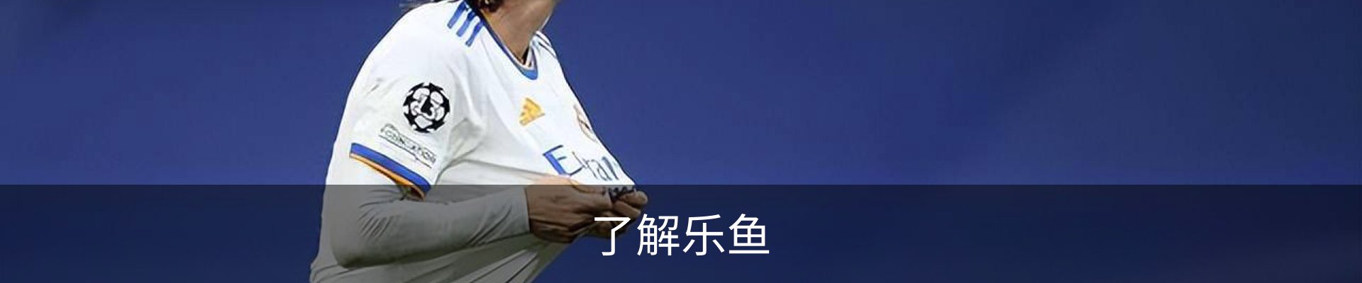 了解乐鱼